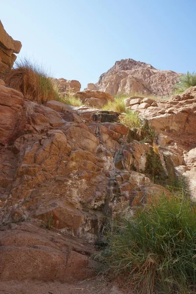Horské Potoky Vegetace Turistickém Místě Malakot Mountain Oasis Dahab Guvernér — Stock fotografie