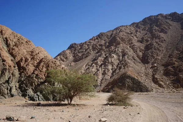 Vackert Bergslandskap Närheten Malakot Mountain Oas Wadi Gnai Dahab South — Stockfoto