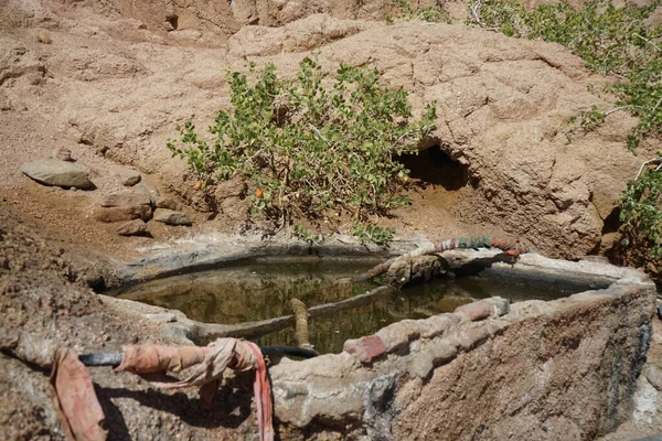 Avrinning För Vattning Växter Malakot Mountain Oas Wadi Gnai Dahab — Stockfoto