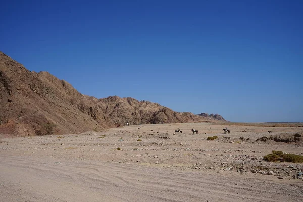 埃及南西奈省Dahab Malakot山区绿洲附近的游客骑马者 — 图库照片