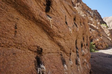 Malakot Dağı vahasındaki kayanın içindeki mumlar güç kaynağındaki canlılık artıyor. Dahab, Güney Sina Valiliği, Mısır 