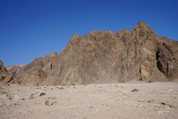 Turister Ryttare Och Ensam Kamel Närheten Malakot Mountain Oasis Dahab — Stockfoto