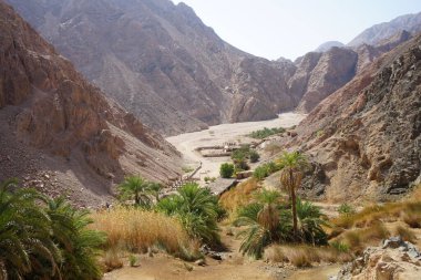 Malakot Dağı vahasındaki dağ dereleri ve bitki örtüsüyle muhteşem bir manzara. Dahab, Güney Sina Valiliği, Mısır   