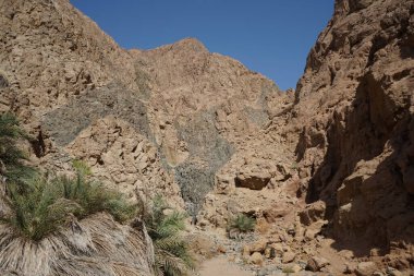 Malakot Dağı vahasındaki dağ dereleri ve bitki örtüsüyle muhteşem bir manzara. Dahab, Güney Sina Valiliği, Mısır   