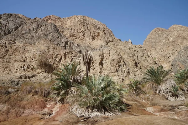 Prachtige Landschap Met Bergbeken Vegetatie Malakot Mountain Oase Toeristische Site — Stockfoto