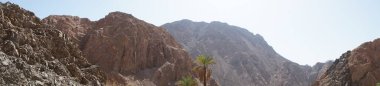 Fotoğraf panoraması. Malakot Dağı vahasındaki dağ dereleri ve bitki örtüsüyle muhteşem bir manzara. Dahab, Güney Sina Valiliği, Mısır 