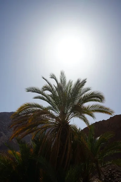 Sol Sobre Magnífica Paisagem Montanhosa Malakot Mountain Oásis Local Turístico — Fotografia de Stock