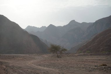 Malakot Dağı vahası civarındaki turistik güzergahın muhteşem manzarası. Dahab, Güney Sina Valiliği, Mısır   