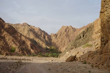 Malakot Dağı vahası, Wadi Gnai, Dahab, Güney Sina Valiliği, Mısır yakınlarındaki turizm rotasında muhteşem bir manzara.   