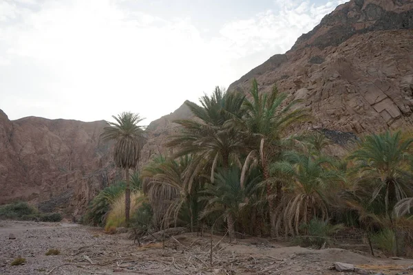 Prachtig Landschap Toeristische Route Omgeving Van Malakot Mountain Oase Wadi — Stockfoto