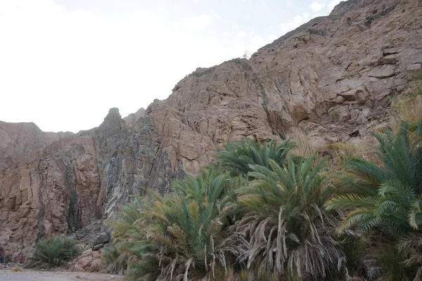 Prachtig Landschap Toeristische Route Omgeving Van Malakot Mountain Oase Wadi — Stockfoto