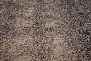 Malakot Dağı vahasının turistik güzergahındaki yolda deve izleri var. Dahab, Güney Sina Valiliği, Mısır 