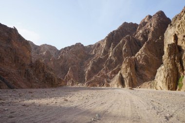 Turistlerle dolu deve kervanı, Malakot Dağı vahası turizm rotası civarındaki yola çıkıyor. Dahab, Güney Sina Valiliği, Mısır