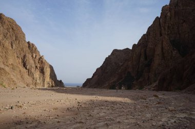 Turistlerle dolu deve kervanı, Malakot Dağı vahası turizm rotası civarındaki yola çıkıyor. Dahab, Güney Sina Valiliği, Mısır