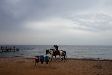 Akabe Körfezi 'ndeki Kızıl Deniz boyunca at sırtında dörtnala giden atlılar. Dahab, Güney Sina Valiliği, Mısır  