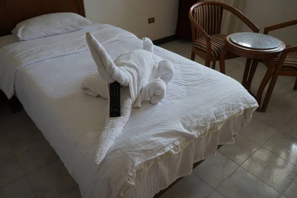 Готельному Ліжку Готелю Крокодил Внутрішні Прикраси Єгипті Дахаб Провінція Південна — стокове фото