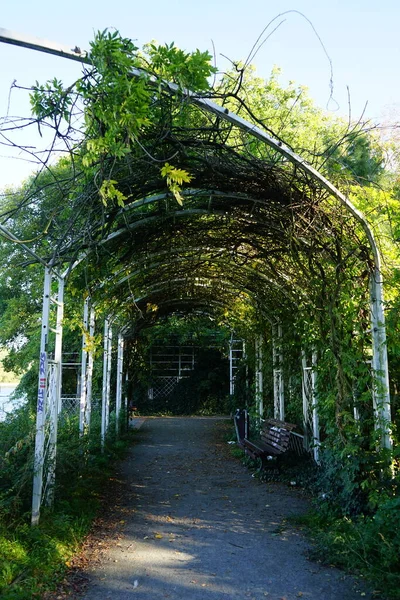 Pérgola Para Escalar Plantas Mentzelpark Berlín Alemania — Foto de Stock