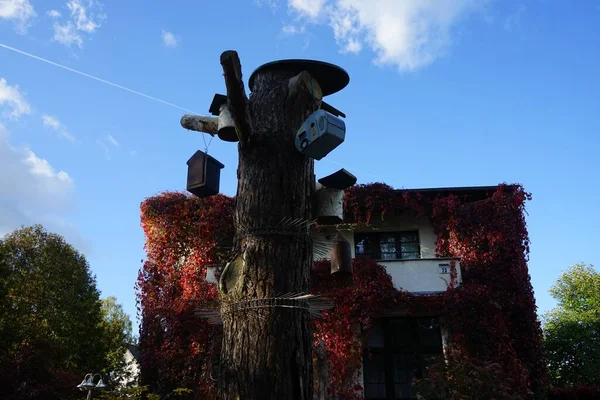 Domki Dla Ptaków Metalowe Urządzenie Drapieżników Pniu Drzewa Berlin Niemcy — Zdjęcie stockowe