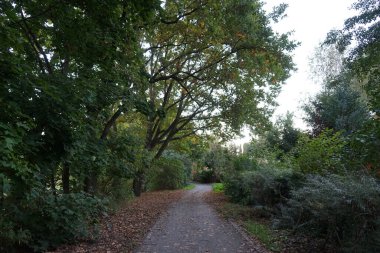 Berlinliler için park dinlenme alanı. Berlin, Almanya 