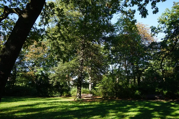 Berlinliler için park dinlenme alanı. Berlin, Almanya 