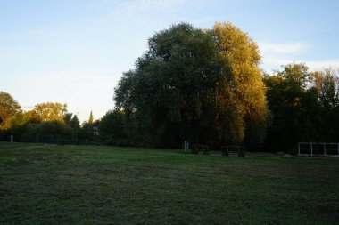 Berlinliler için park dinlenme alanı. Berlin, Almanya 