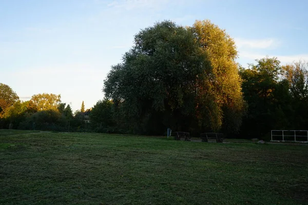 Berlinliler için park dinlenme alanı. Berlin, Almanya 
