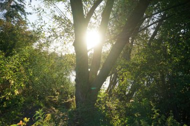 Ekim 'de Wuhlesee Gölü' nün batışında muhteşem bir manzara. Marzahn-Hellersdorf, Berlin, Almanya 