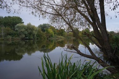 Ekim ayında Wuhlesee Gölü ile muhteşem bir manzara. Marzahn-Hellersdorf, Berlin, Almanya 