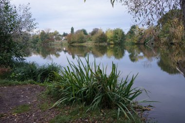 Ekim ayında Wuhlesee Gölü ile muhteşem bir manzara. Marzahn-Hellersdorf, Berlin, Almanya 
