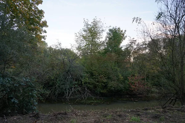 Ekim Ayında Wuhle Nehri Boyunca Sonbahar Bitkileri Berlin Almanya — Stok fotoğraf