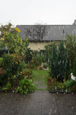Ekim 'de bahçede kar yağışı var. Berlin, Almanya