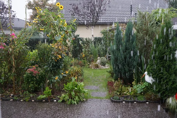 Heavy Rain Snow October Garden Berlin Germany — 스톡 사진