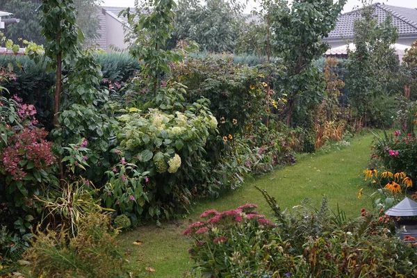 Hujan Lebat Dengan Salju Bulan Oktober Taman Berlin Jerman — Stok Foto