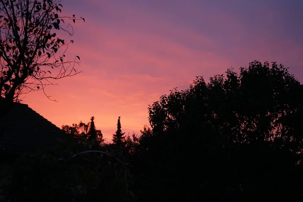 Όμορφος Ουρανός Στο Ηλιοβασίλεμα Πάνω Από Τον Κήπο Φθινόπωρο Βερολίνο — Φωτογραφία Αρχείου