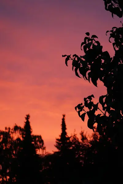 Schöner Himmel Bei Sonnenuntergang Über Dem Herbstlichen Garten Berlin Deutschland — Stockfoto