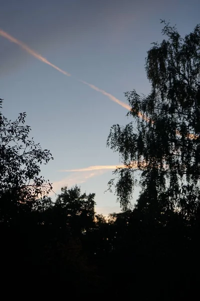 Krásná Obloha Při Západu Slunce Nad Podzimní Zahradou Berlín Německo — Stock fotografie