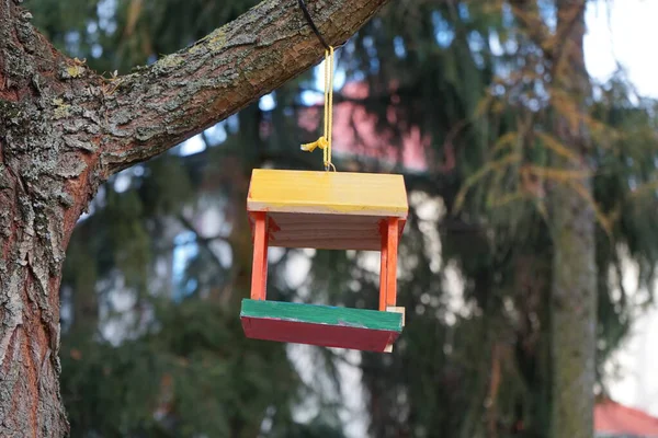 Ljus Flerfärgad Fågelmatare Hänger Ett Träd Hösten Berlin Tyskland — Stockfoto