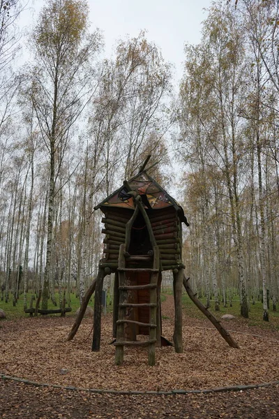 Parque Infantil Forma Casa Uma Bruxa Pernas Frango Bosque Vidoeiro — Fotografia de Stock