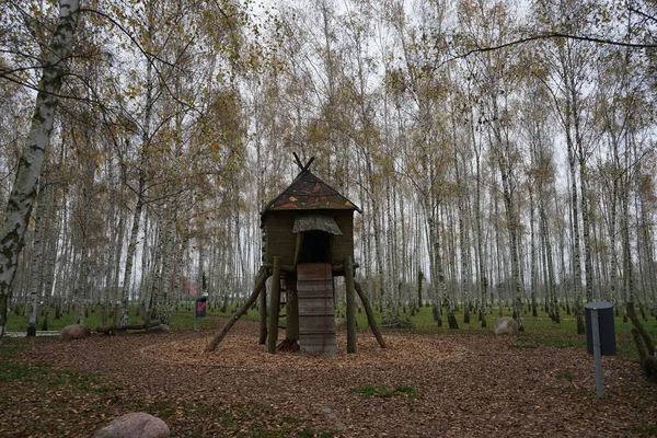 Huş Ağacında Tavuk Bacaklı Bir Cadının Evi Şeklinde Oyun Bahçesi — Stok fotoğraf