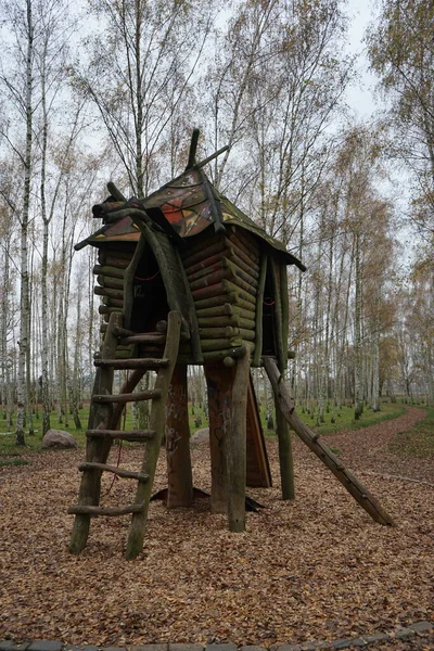 Aire Jeux Forme Maison Sorcière Sur Les Cuisses Poulet Dans — Photo