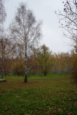 Suedpark civarındaki güzel sonbahar manzarası, 12355 Berlin, Almanya