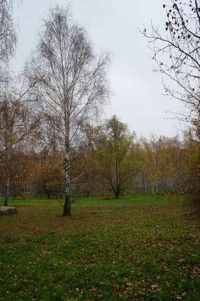 德国柏林瑟德公园附近美丽的秋天风景 — 图库照片