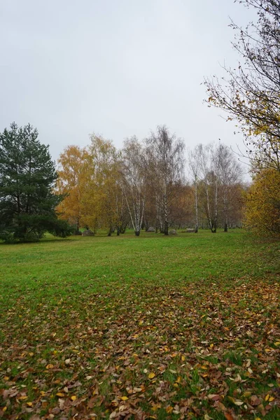 Hermoso Paisaje Otoñal Las Inmediaciones Suedpark 12355 Berlín Alemania —  Fotos de Stock