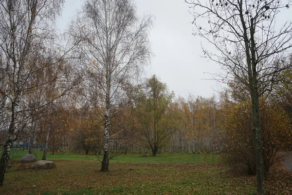 Piękny Jesienny Krajobraz Pobliżu Suedpark 12355 Berlin Niemcy — Zdjęcie stockowe