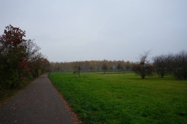 Sdpark civarındaki güzel sonbahar manzarası, 12355 Berlin, Almanya 
