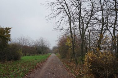 Suedpark civarındaki güzel sonbahar manzarası, 12355 Berlin, Almanya 