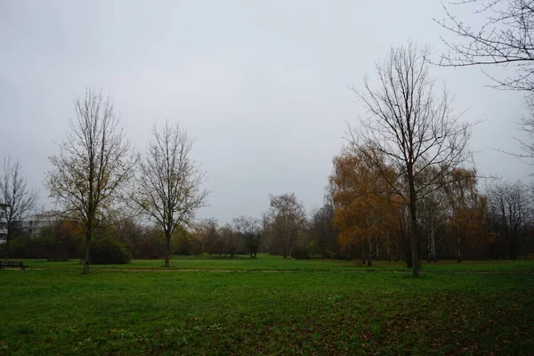 Осенний Пейзаж Византийском Suedpark 12355 Берлин Германия — стоковое фото