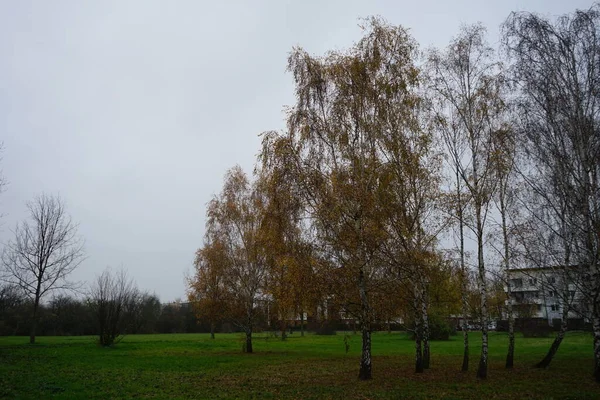 Schöne Herbstlandschaft Der Nähe Des Südparks 12355 Berlin Deutschland — Stockfoto