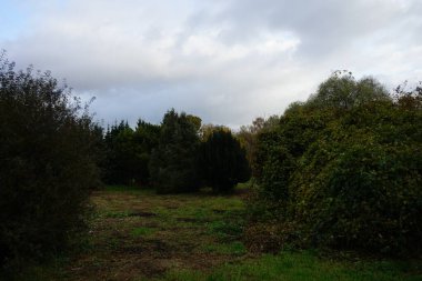 Berlinliler 'in dinlenme alanındaki güzel sonbahar manzarası. Berlin, Almanya