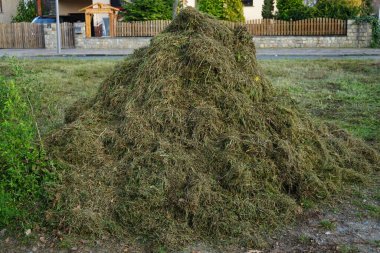 Berlin, Almanya 'da bir caddede çimleri biçtikten sonra kesilmiş çimen yığını 